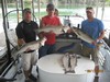 (08/11/2015) - Nice Striped Bass